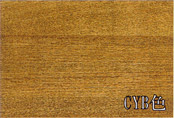 CYBF